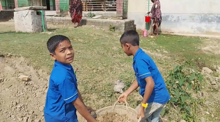 Children at Ganganagar Nirad Chandra Government Primary School in Netrokona digging and carrying soil as part of regular school activities.